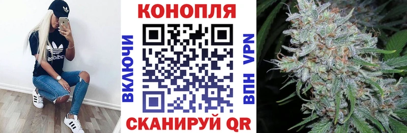 сколько стоит  Севастополь  Марихуана планчик 